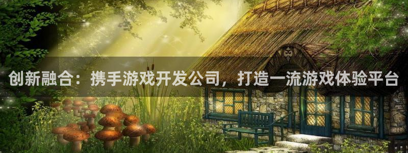 广东db电竞电商bruno：创新融合：携手游戏开发公司，打造一流游戏体验平台