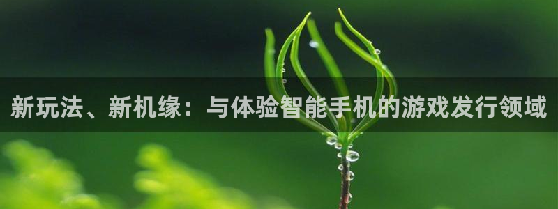 db电竞官网的奇趣腾讯是真的吗还是假的：新玩法、新机缘：与体验智能手机的游戏发行领域