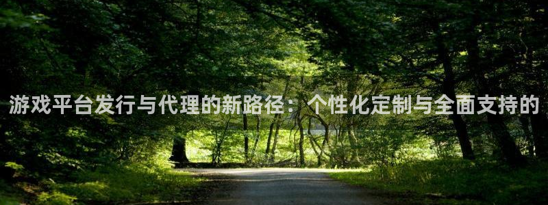 db电竞子年度最佳图书：游戏平台发行与代理的新路径：个性化定制与全面支持的