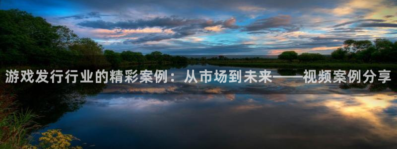 陕西db电竞子文化公司有什么游戏：游戏发行行业的精彩案例：从市场到未来——视频案例分享