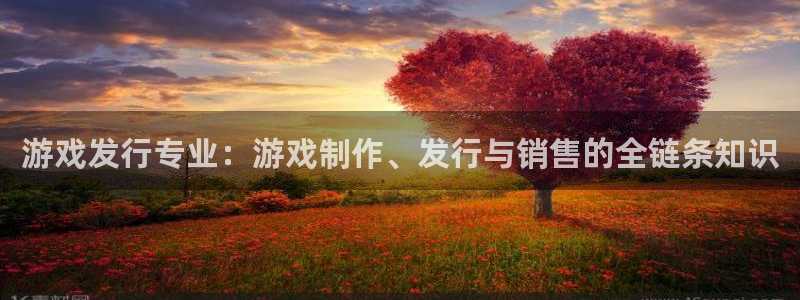 db电竞官网注册地址在哪里查：游戏发行专业：游戏制作、发行与销售的全链条知识