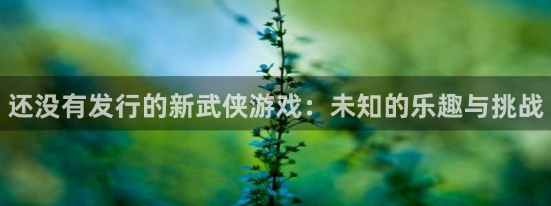 db电竞男装品牌：还没有发行的新武侠游戏：未知的乐趣与挑战