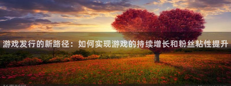 db电竞子公司怎么样：游戏发行的新路径：如何实现游戏的持续增长和粉丝粘性提升