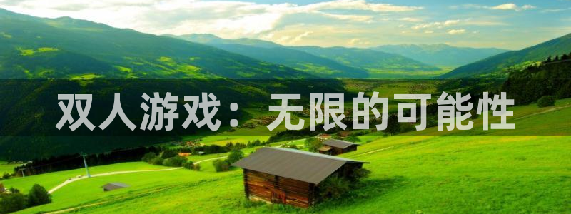 db电竞品牌服装：双人游戏：无限的可能性