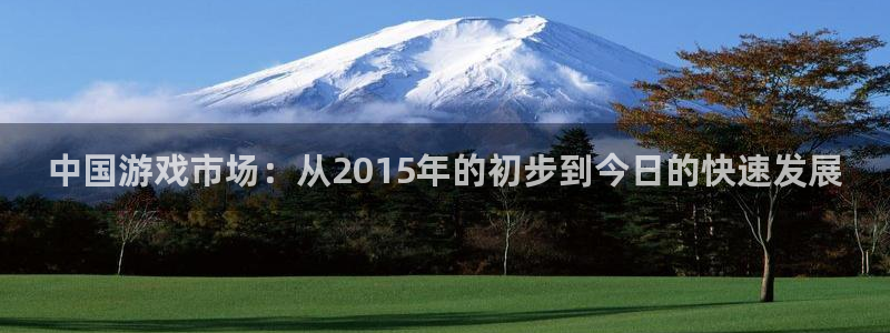 db电竞电子商务有限公司怎么样知乎：中国游戏市场：从2015年的初步到今日的快速发展