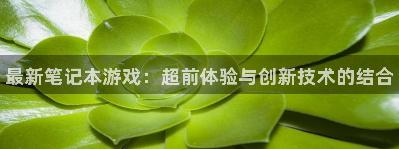 db电竞电子商务有限公司地址：最新笔记本游戏：超前体验与创新技术的结合