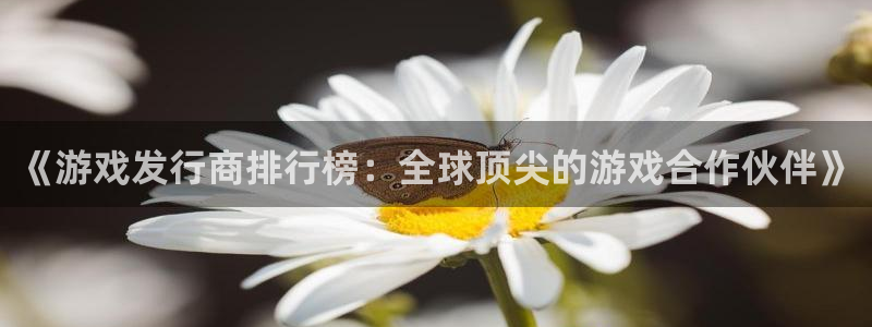 苏州db电竞网络科技有限公司：《游戏发行商排行榜：全球顶尖的游戏合作伙伴》