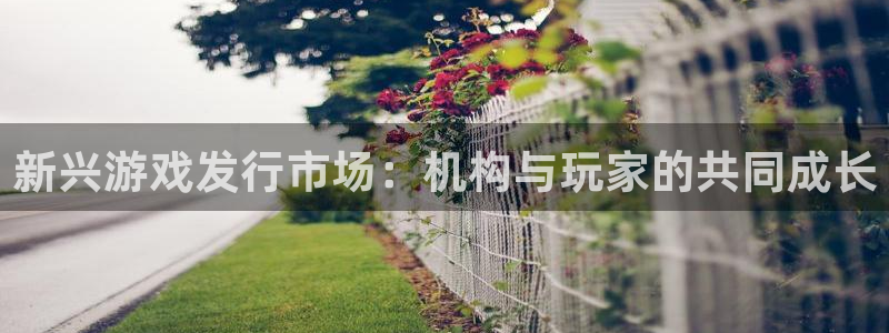 陕西db电竞子文化公司加我qq：新兴游戏发行市场：机构与玩家的共同成长