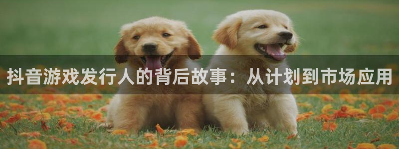 db电竞户外：抖音游戏发行人的背后故事：从计划到市场应用