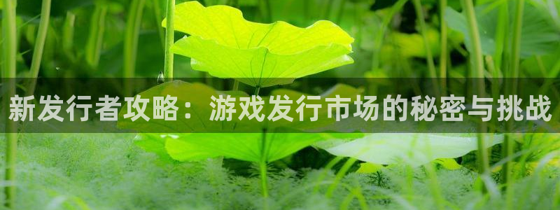 db电竞官网平台代理开号是真的吗：新发行者攻略：游戏发行市场的秘密与挑战