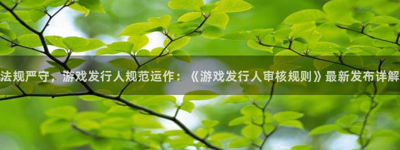 db电竞电子商务有限公司招聘：法规严守，游戏发行人规范运作：《游戏发行人审核规则》最新发布详解