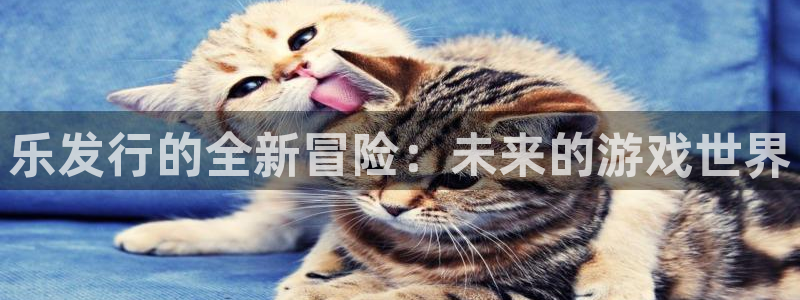 db电竞官网代理注册地址