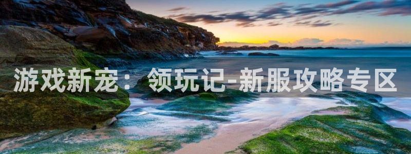 db电竞官网注册平台是什么公司