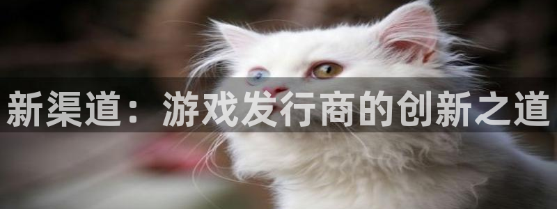 db电竞子文化创意有限公司：新渠道：游戏发行商的创新之道